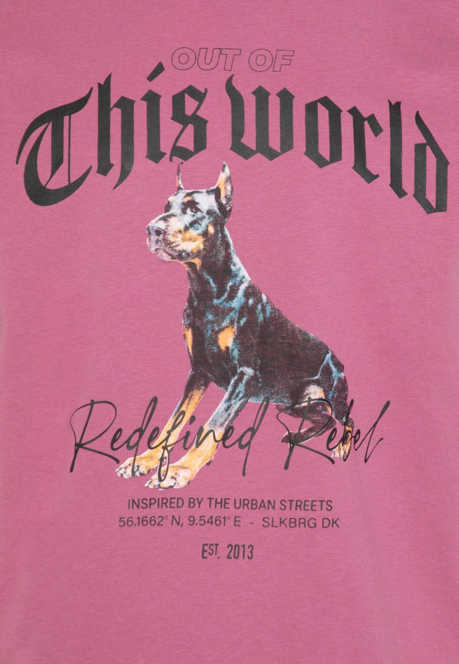 Redefined Rebel Rroliver Tee Unisex - T-Shirt Print - Mellow Mauve 7 Redefined Rebel Rroliver Tee Unisex - T-Shirt Print - Mellow Mauve - Afbeelding 5