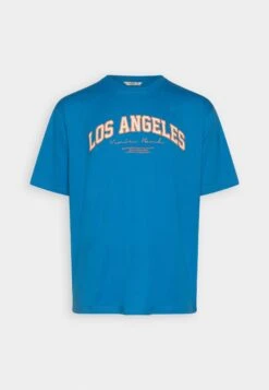 Redefined Rebel Rrsago Tee - T-Shirt Print - Blue Aster -Redefined Rebel a72bde999310468f988aea0990ffc534