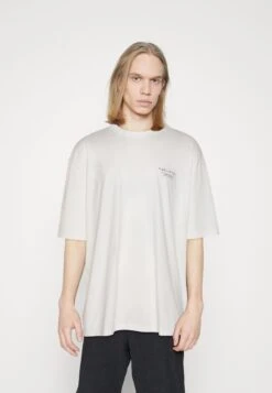 Redefined Rebel Rrraymond Tee Plus - T-Shirt Print - Pristine